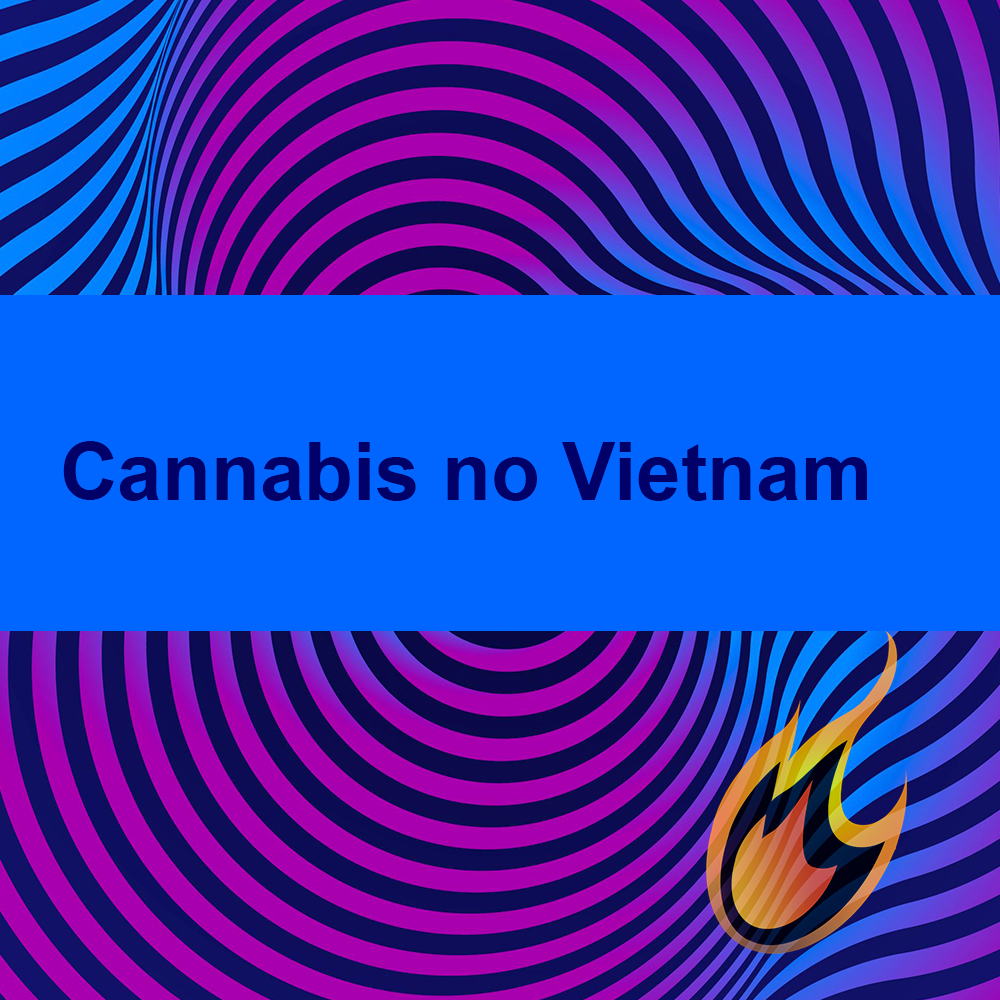 Cannabis no Vietnam