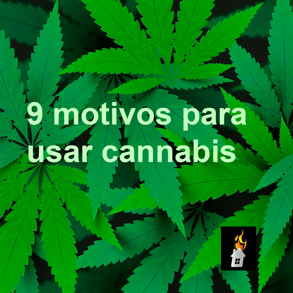 9 motivos para usar cannabis