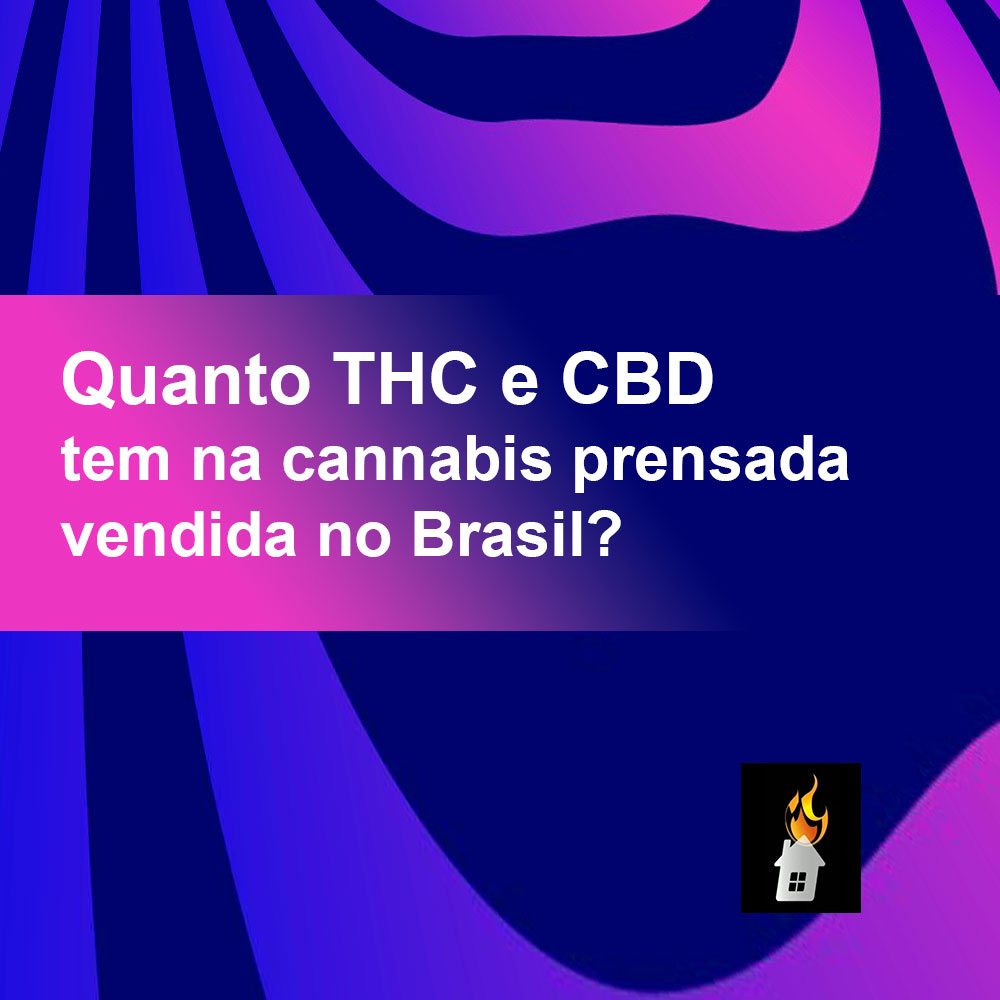 Quanto THC tem na maconha prensada vendida no Brasil?