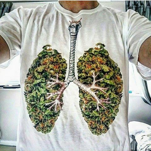 lungs_weed