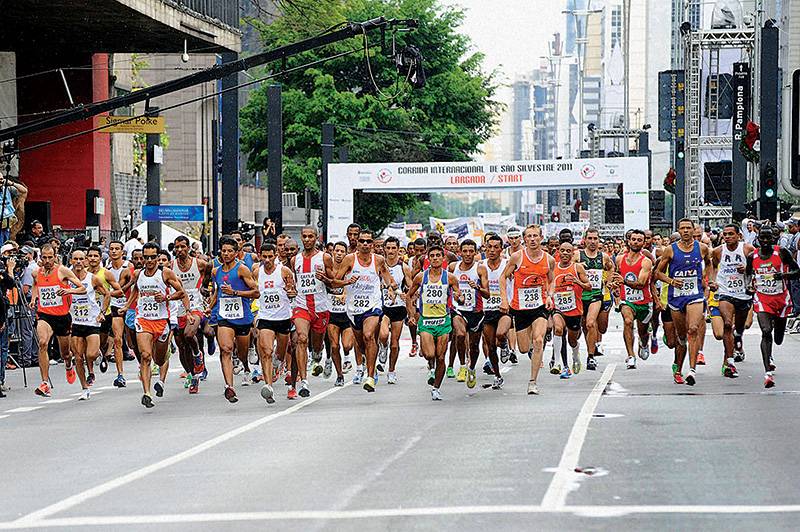 sistema respiratório