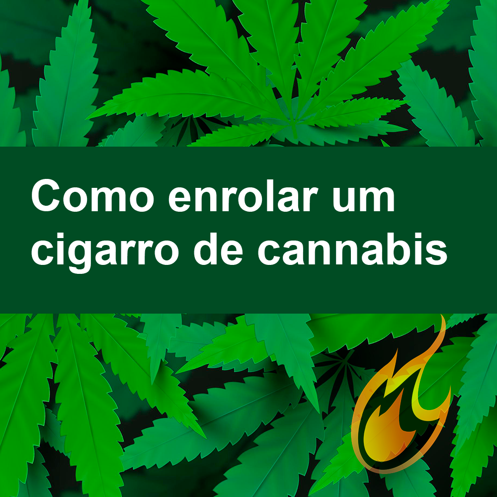 Como bolar um baseado, como bolar tabaco?