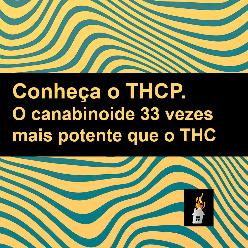 Conheça o THCP. O canabinoide 33 vezes mais potente que o THC.