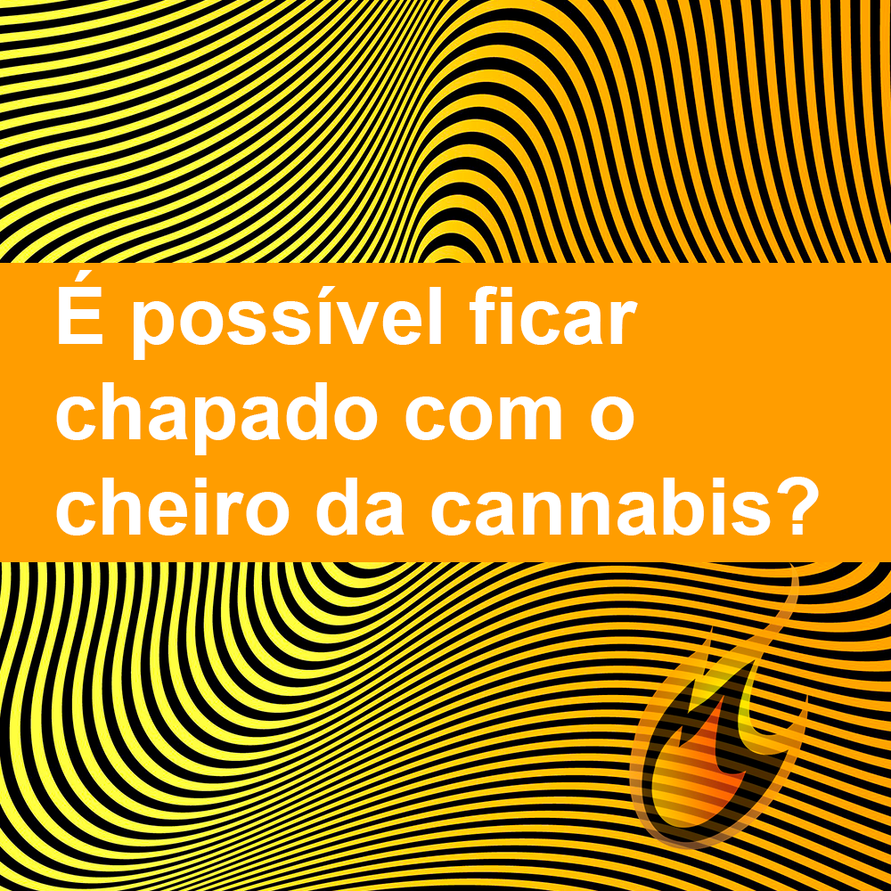 É possível ficar chapado com o cheiro da cannabis?