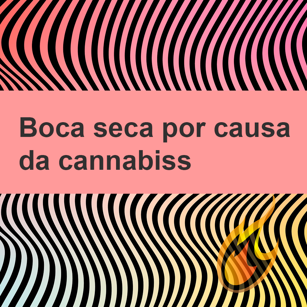 Por que a boca fica seca quando fumamos maconha?